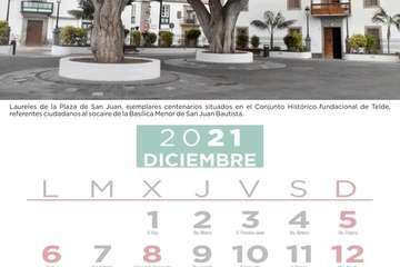  Telde pone en valor su patrimonio vegetal con un almanaque con los árboles más singulares/TA.